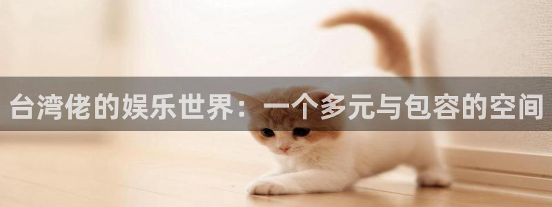 顺盈娱乐：台湾佬的娱乐世界：一个多元与包容的空间