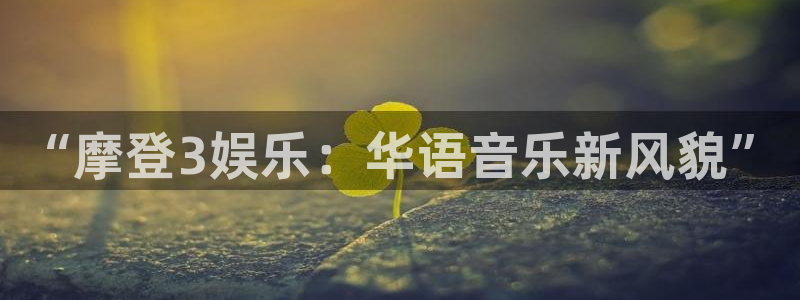 顺盈娱乐