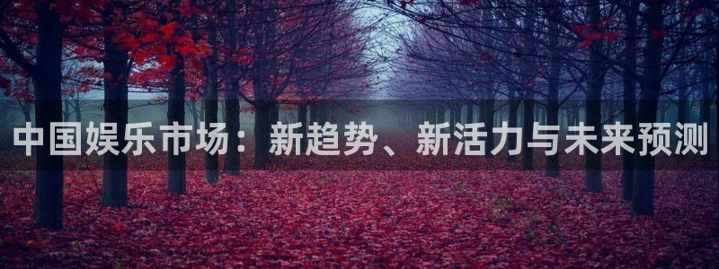 顺盈娱乐：中国娱乐市场：新趋势、新活力与未来预测