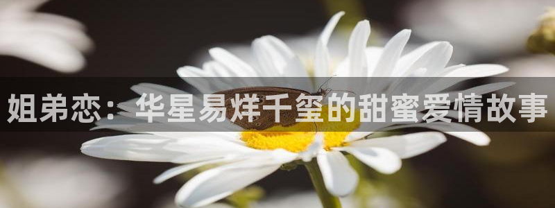 顺盈娱乐：姐弟恋：华星易烊千玺的甜蜜爱情故事