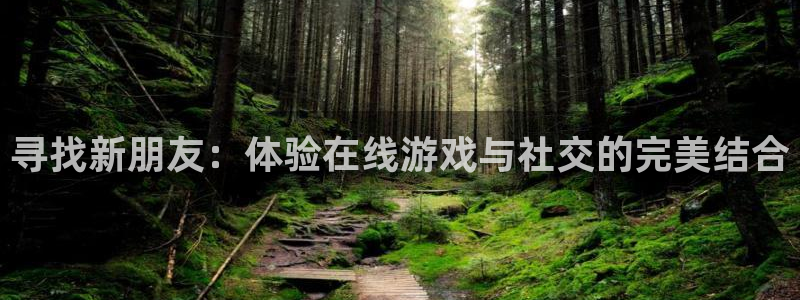 顺盈娱乐：寻找新朋友：体验在线游戏与社交的完美结合